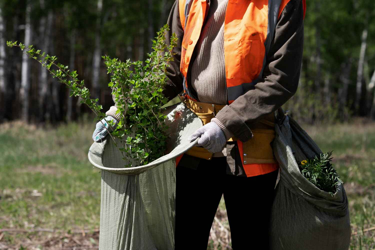 Best Tree Trimming Near Me  in Riverview, MO